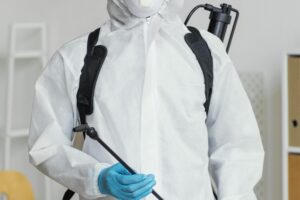 شركة مكافحة حشرات في عين شمس 