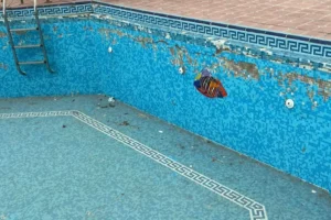 إنشاء وترميم المسابح لجميع مناطق الوجه القبلي